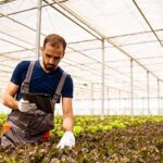 اصلاحکنندههای خاک و آب مادگرو؛ بازگرداندن زندگی به زمینهای خسته از کشاورزی مدرن