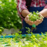 چگونه کیفیت و قیمت مناسب در کودهای مادگرو موجب رقابتپذیری با برندهای خارجی میشود؟