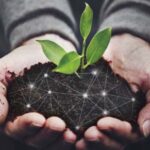 فرمولاسیون تخصصی کودهای مادگرو