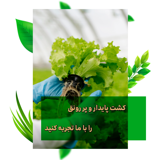 درباره ما