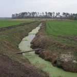زهکشی(Drainage)