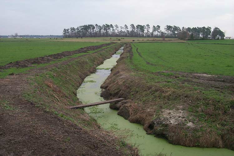 زهکشی(Drainage)